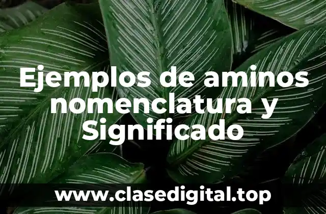 Ejemplos de aminos nomenclatura