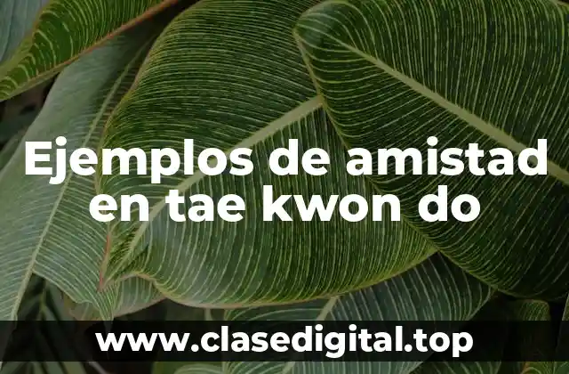 Ejemplos de amistad en tae kwon do