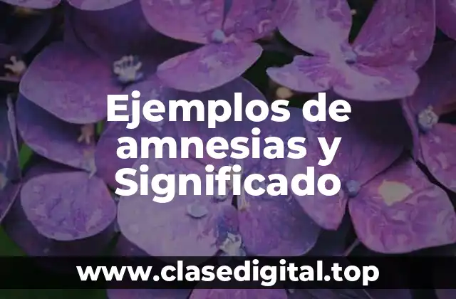 Ejemplos de amnesias y Significado