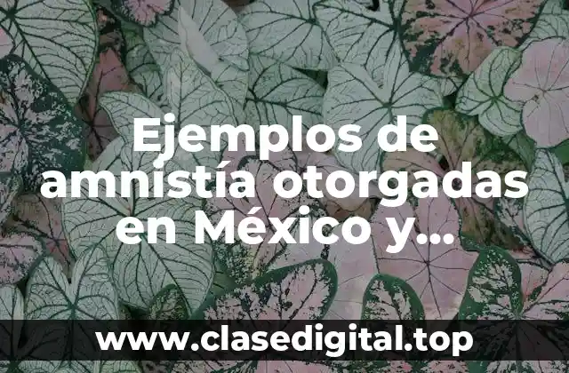 Ejemplos de amnistía otorgadas en México y Significado