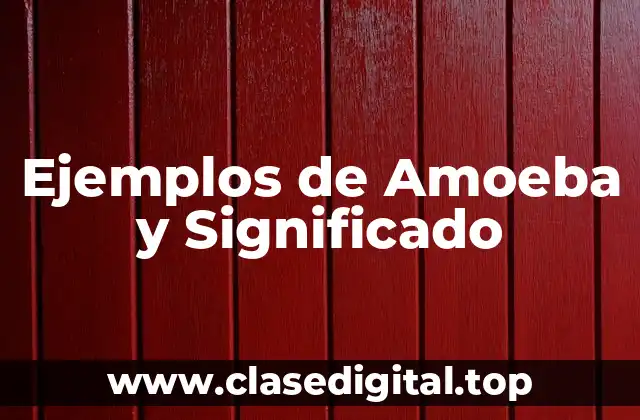 Ejemplos de Amoeba y Significado