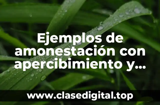 Ejemplos de amonestación con apercibimiento