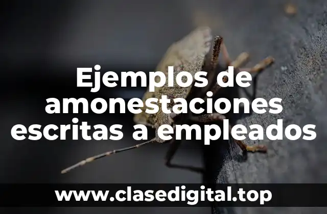 Ejemplos de amonestaciones escritas a empleados