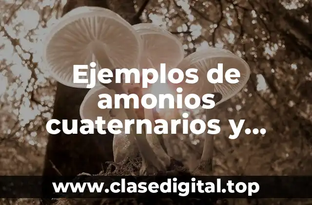Ejemplos de amonios cuaternarios y Significado