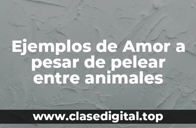 Ejemplos de Amor a pesar de pelear entre animales