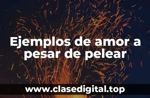 Ejemplos de amor a pesar de pelear