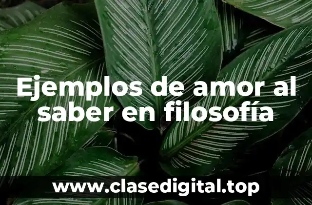 Ejemplos de amor al saber en filosofía