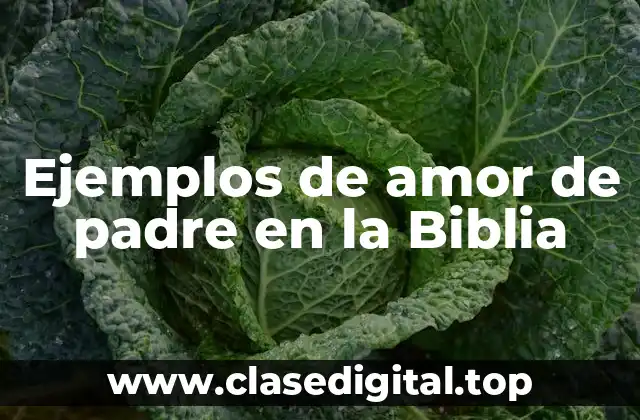 Ejemplos de amor de padre en la Biblia