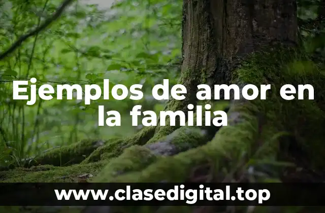 Ejemplos de amor en la familia