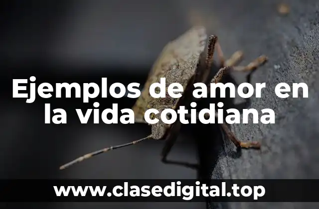 Ejemplos de amor en la vida cotidiana