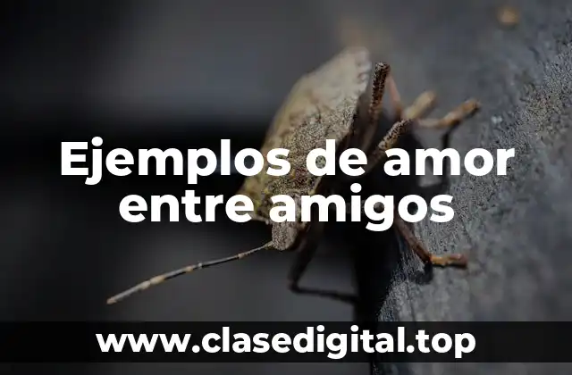 Ejemplos de amor entre amigos