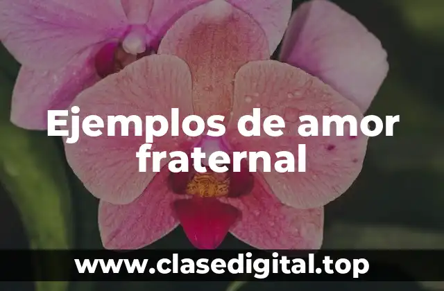 Ejemplos de amor fraternal