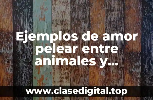 Ejemplos de amor pelear entre animales y Significado