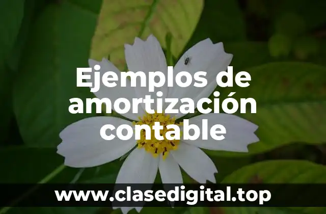 Ejemplos de amortización contable