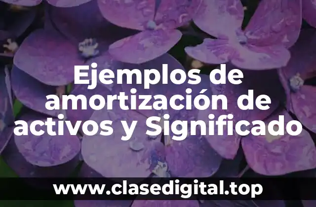 Ejemplos de amortización de activos y Significado