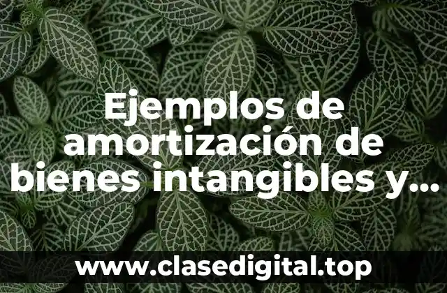 Ejemplos de amortización de bienes intangibles y Significado