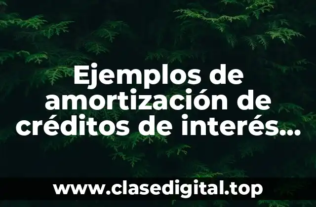 Ejemplos de amortización de créditos de interés insoluto