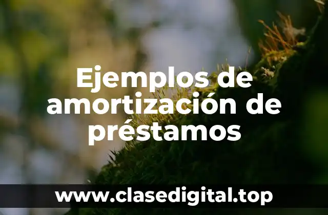 Ejemplos de amortización de préstamos