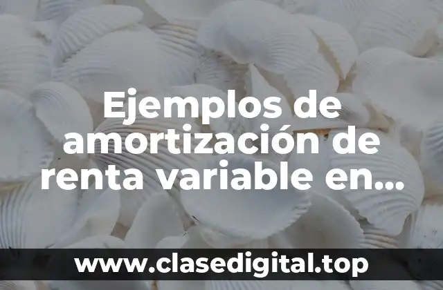 Ejemplos de amortización de renta variable en Excel