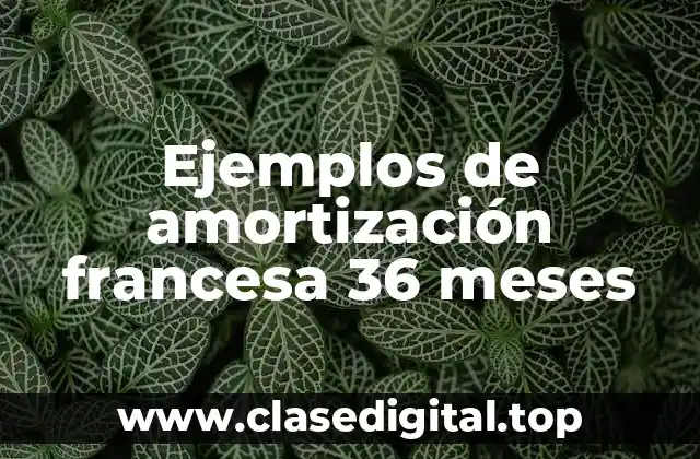 Ejemplos de amortización francesa 36 meses