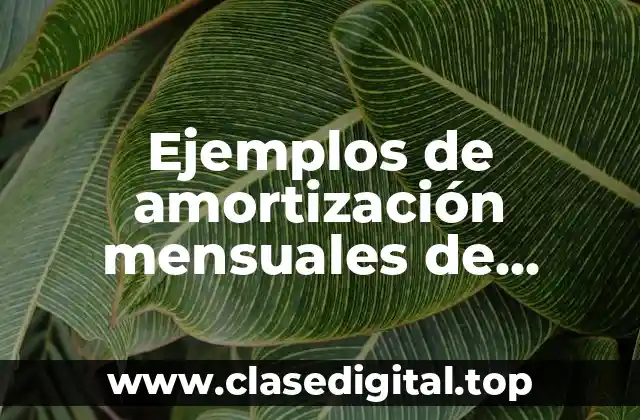 Ejemplos de amortización mensuales de seguros