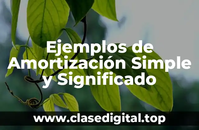 Ejemplos de Amortización Simple y Significado