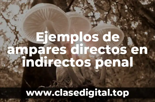 Ejemplos de ampares directos en indirectos penal