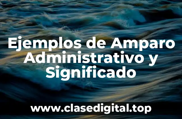 Ejemplos de Amparo Administrativo y Significado