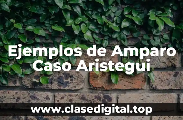 Ejemplos de Amparo Caso Aristegui