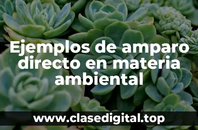 Ejemplos de amparo directo en materia ambiental