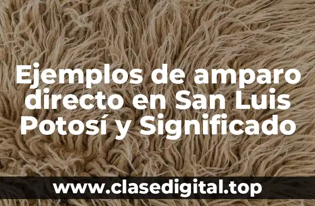 Ejemplos de amparo directo en San Luis Potosí y Significado