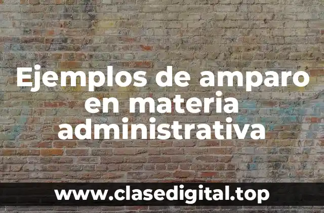 Ejemplos de amparo en materia administrativa