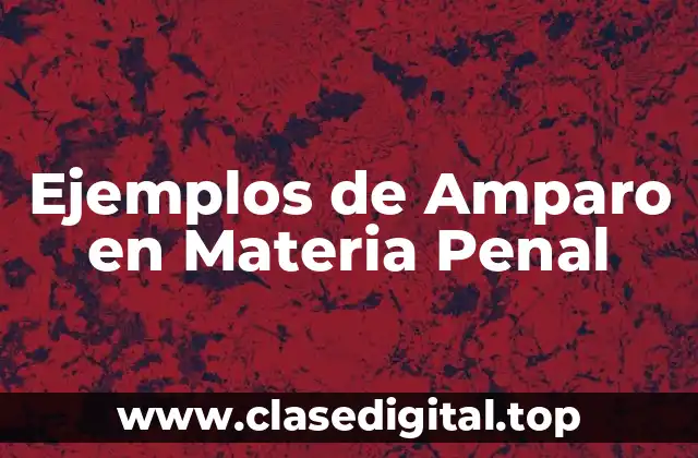 Ejemplos de Amparo en Materia Penal