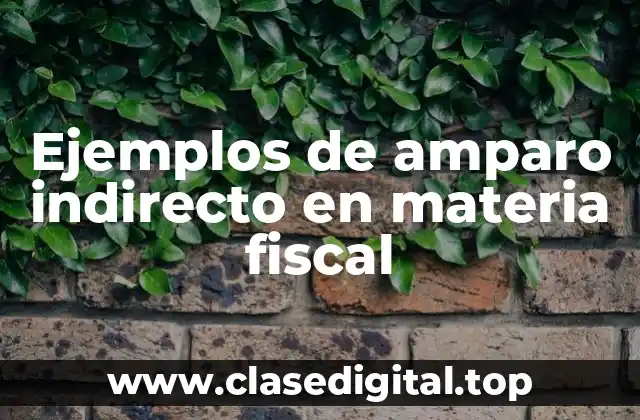 Ejemplos de amparo indirecto en materia fiscal
