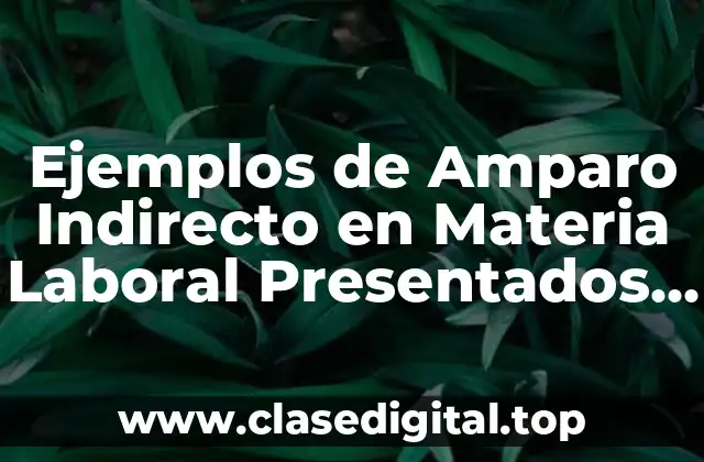 Ejemplos de Amparo Indirecto en Materia Laboral Presentados en Sinaloa