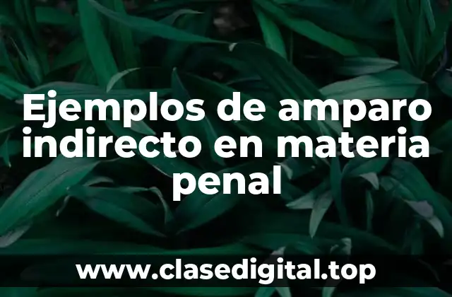 Ejemplos de amparo indirecto en materia penal