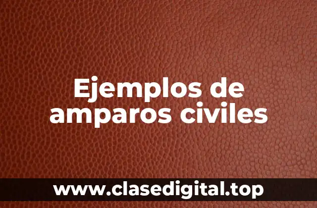 Ejemplos de amparos civiles