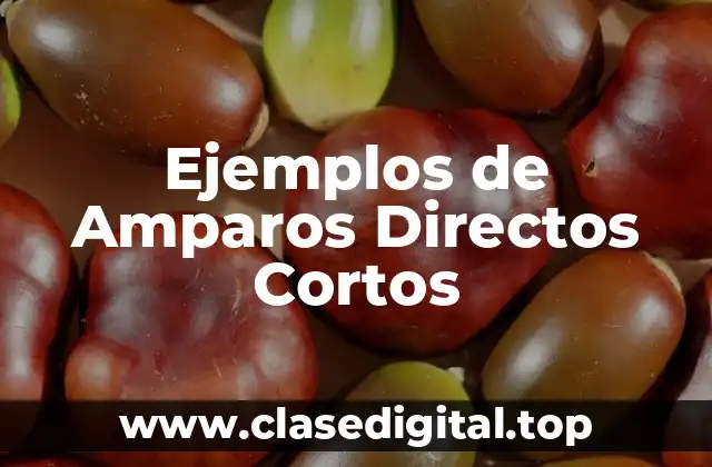 Ejemplos de Amparos Directos Cortos