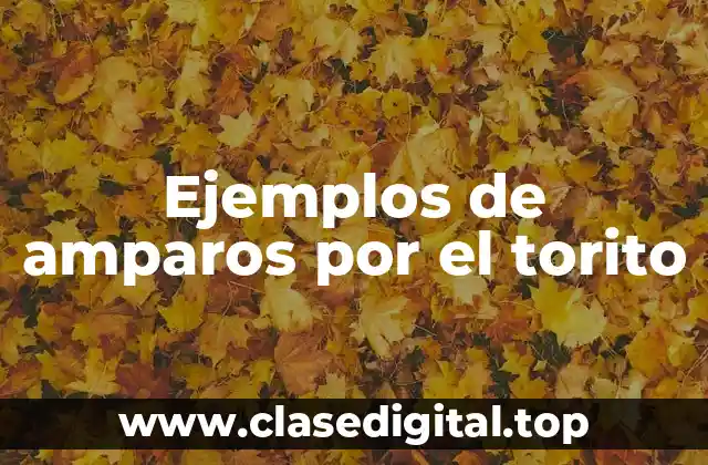 Ejemplos de amparos por el torito