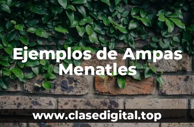 Ejemplos de Ampas Menatles