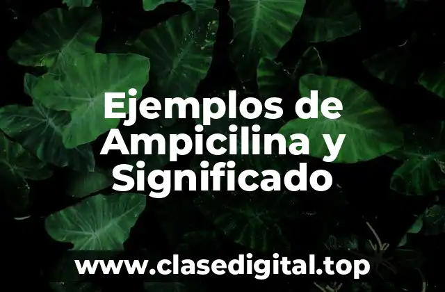 Ejemplos de Ampicilina y Significado