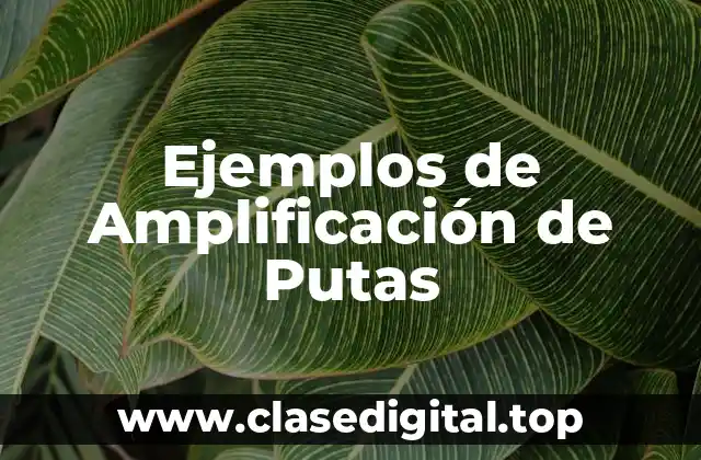 Ejemplos de amplificación de putas