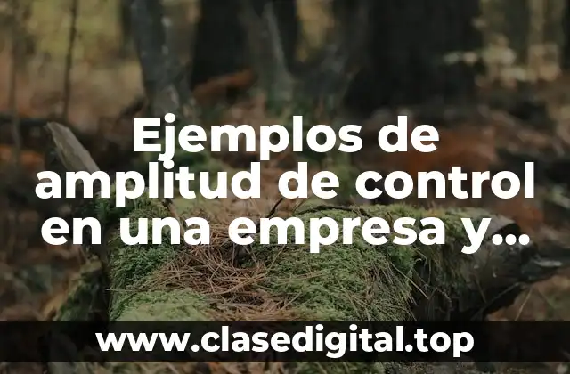 Ejemplos de amplitud de control en una empresa