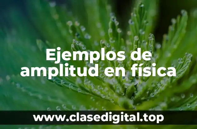 Ejemplos de amplitud en física