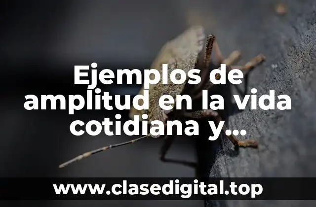 Ejemplos de amplitud en la vida cotidiana y Significado