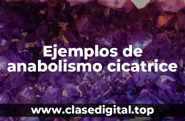 Ejemplos de anabolismo cicatrice