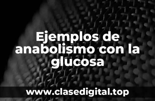 Ejemplos de anabolismo con la glucosa