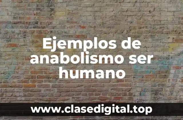 Ejemplos de anabolismo ser humano
