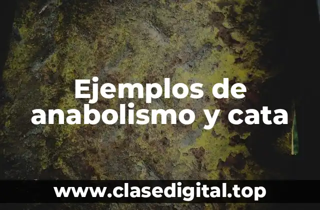 Ejemplos de anabolismo y cata