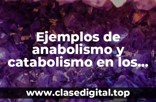 Ejemplos de anabolismo